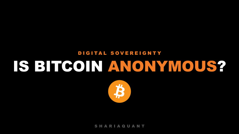 Is Bitcoin Anonymous? What the Blockchain Shows